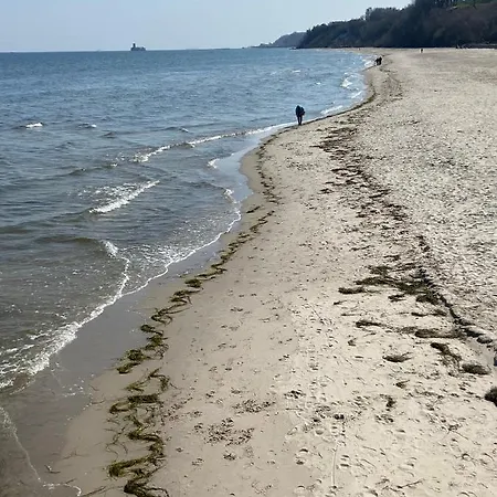 Jasminowa 17 Гдыня